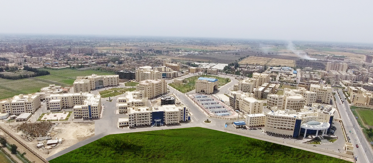 kafleksheikh_university